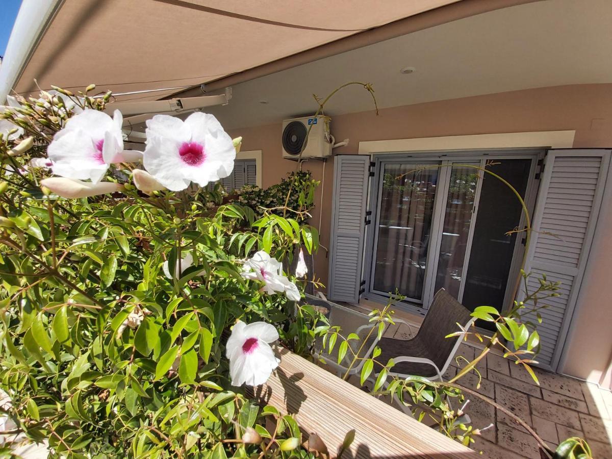Celeni Apartments Lefkáda エクステリア 写真